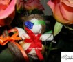 ������� �������� - �������� �����-������