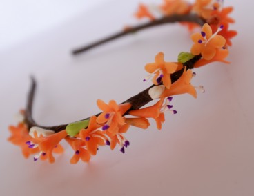 �������� ����� ������ ������