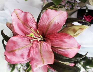 ����� �� �����. �����  ����������