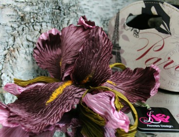 ����� �� �����. ���� �������