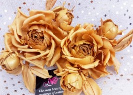 ���� ������������ ������.� ����� �� �����