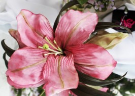 ����� �� �����. �����  ����������