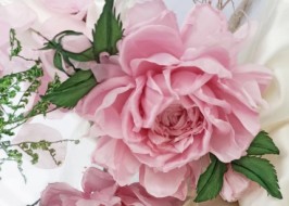 ������, ���� �� ����� �super star�