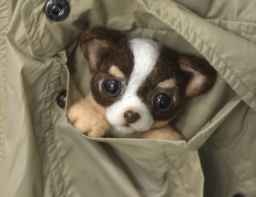 ����� �� ������ ��������