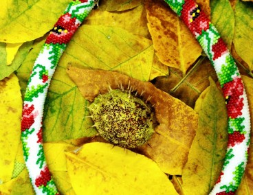 ���� ����