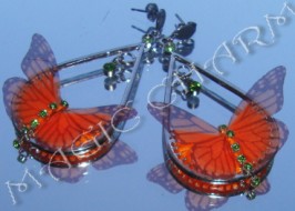 ������ � ���������� ���������