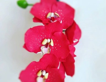 �����  �������