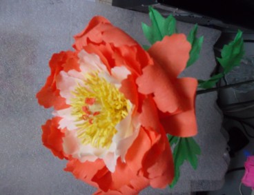 ����� ���� �� ������������� ������