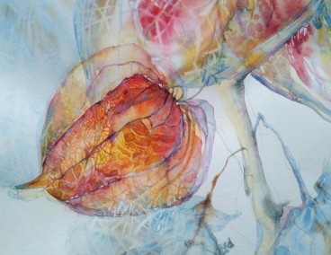 ������� ��������� 