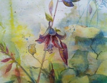 �����������