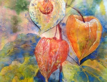 �������