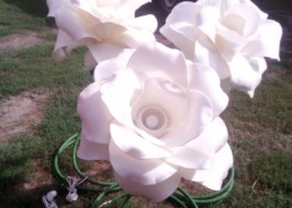 �������� ���������