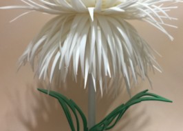 ���������� ��������