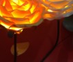 Lamp , Handmade lamp, Red Rose
