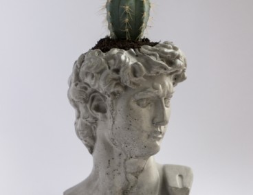 �������� ���� ������ ����� ��������