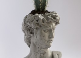 �������� ���� ������ ����� ��������