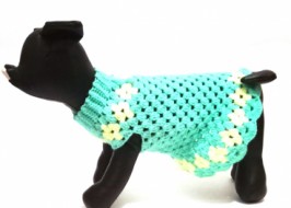 ������ ����� ��� ������