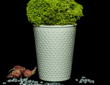 ����� �� ������������� ����