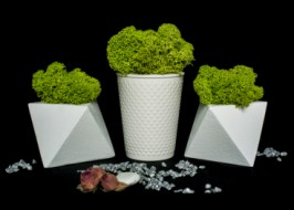 ��� ����������������� � �����. �����