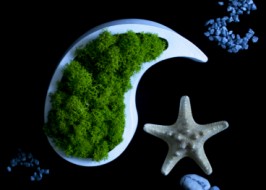 ��� ����������������� � �����