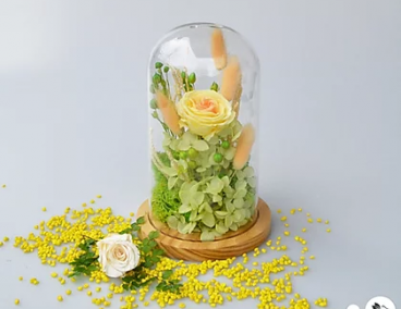 �������� ���� � �����, ����������� �������� �� 3-� ���