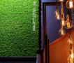 Стены из стабилизированного мха. вертикальное озеленение