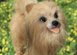 ���� ������ ������� ������ � ����� ������� ��� ��������� ��������� ������� �������