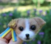 ����� ��� ������ ������� �� ������ ������ ������� �������� ������� ������� ����������� ��������� ����� ����� ������ ������