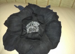 ������� �����-������� �� ����������� ����� � �������� �������