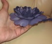 ������� �����-������� ����������� ����� � �������������� ��������