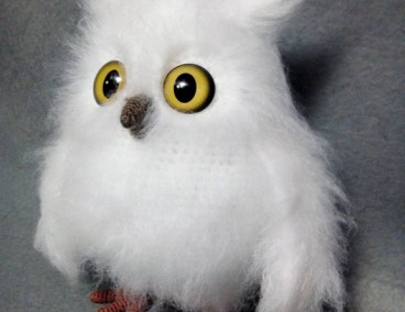 ���� ����� ��������