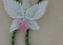 ����� � ������� ����� �������