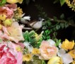 ������ ���������� �������� ������ ����� �� ����� ������� ���������� ���� �����
