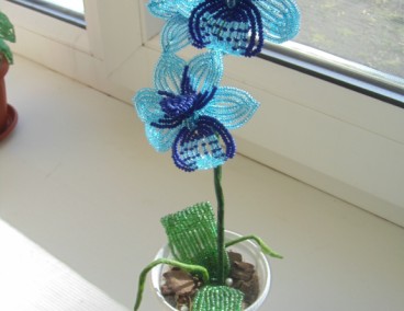 ����� ������� �� ������