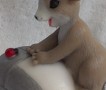 ���� ����������� �����